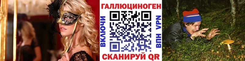 Галлюциногенные грибы Cubensis Армавир
