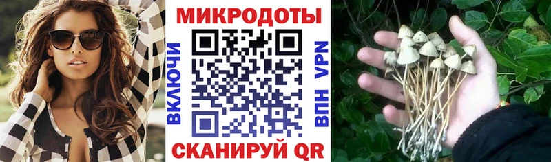 Псилоцибиновые грибы прущие грибы  Купить закладки  Армавир 